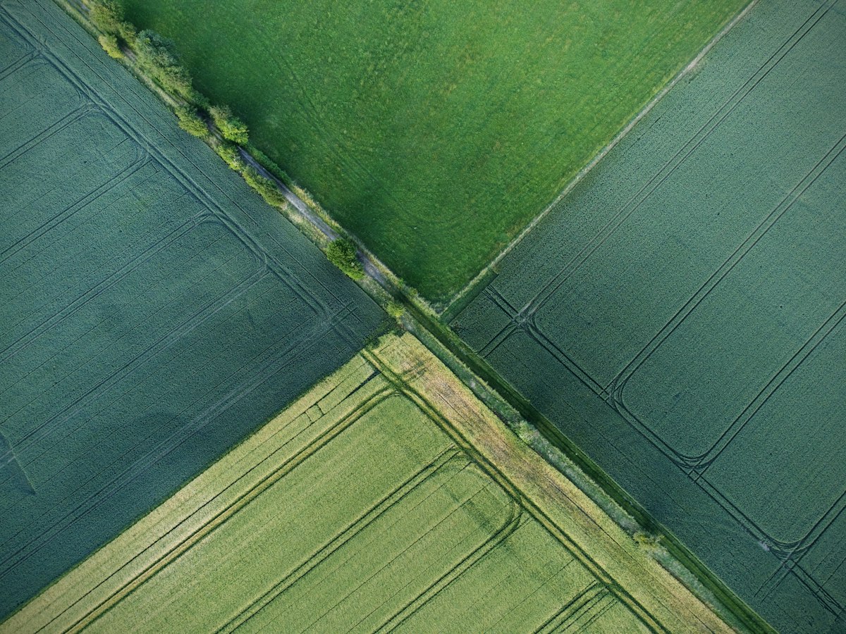 Vista aérea de campos cultivados